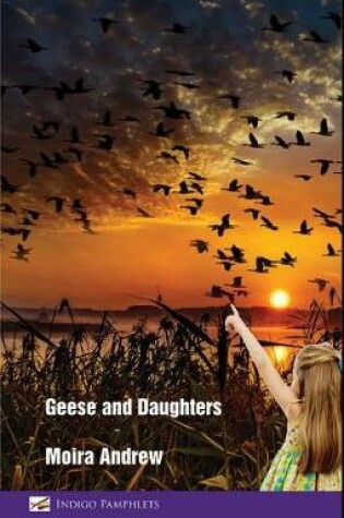 Cover of Geese and daughters