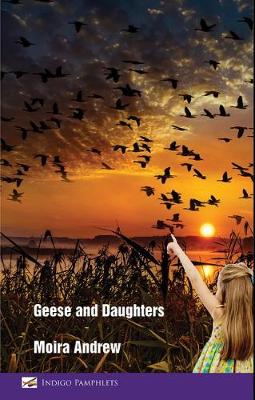 Book cover for Geese and daughters
