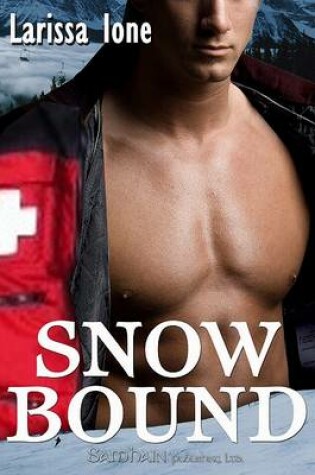 Cover of Snowbound