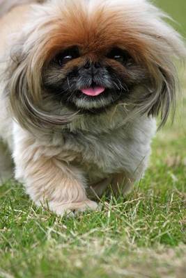 Book cover for A Smiling Pekinese, for the Love of Dogs