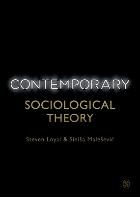 Book cover for Contemporary Sociological Theory