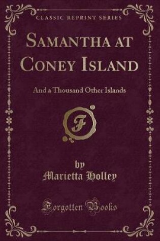 Cover of Samantha at Coney Island