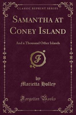 Book cover for Samantha at Coney Island