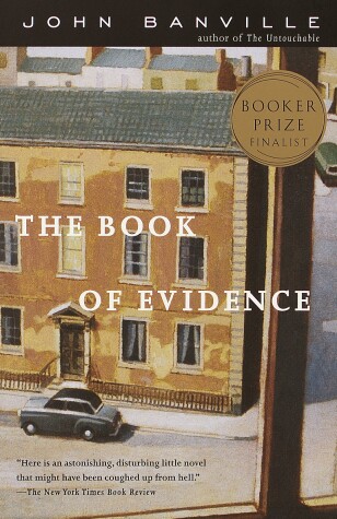 Book cover for The Book of Evidence