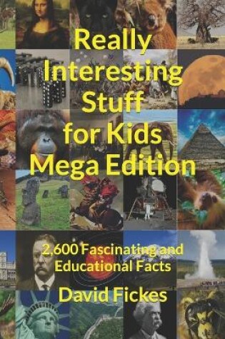 Cover of Really Interesting Stuff for Kids Mega Edition