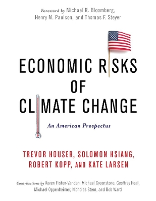 Book cover for Economic Risks of Climate Change