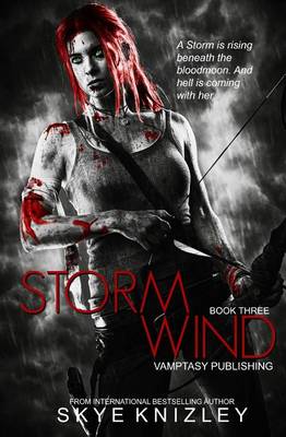 Book cover for Stormwind