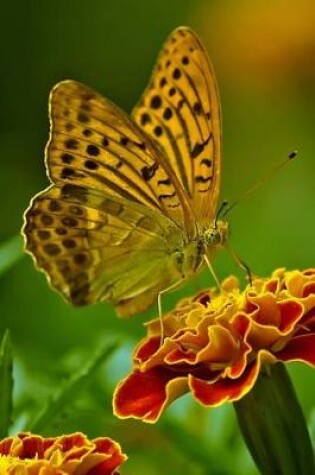 Cover of Butterfly on a Flower Journal