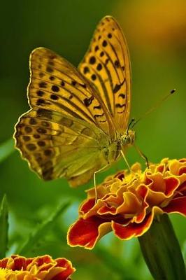 Book cover for Butterfly on a Flower Journal