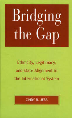 Book cover for Bridging the Gap