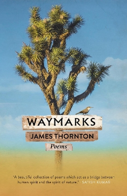 Book cover for Waymarks