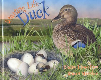 Book cover for Duck