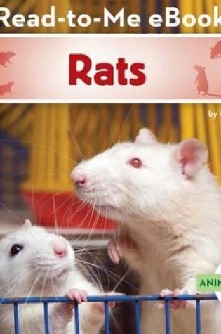 Cover of Rats