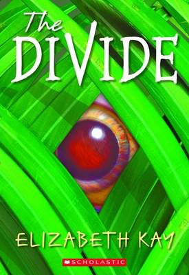 Book cover for The Divide