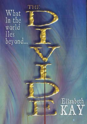 Cover of The Divide