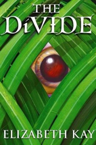 Cover of The Divide