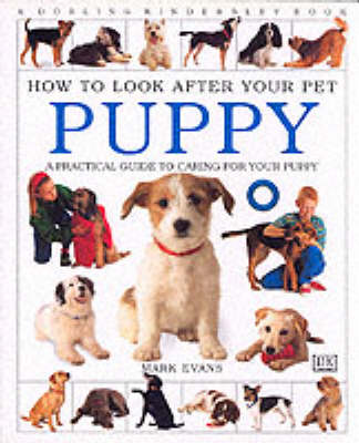 Book cover for How To Look After Your Pet:  Puppy