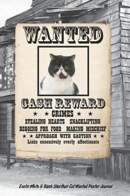 Book cover for Wanted Cat Exotic Black & White Shorthair Notebook