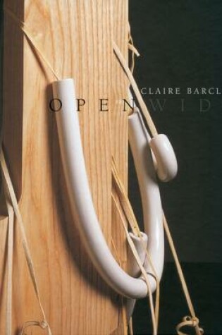 Cover of Claire Barclay