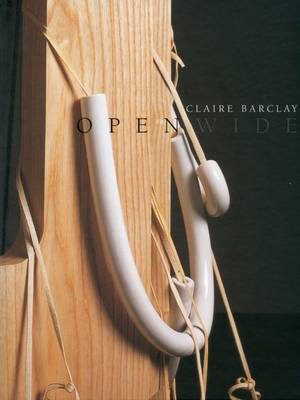 Book cover for Claire Barclay