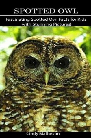 Cover of Spotted Owl