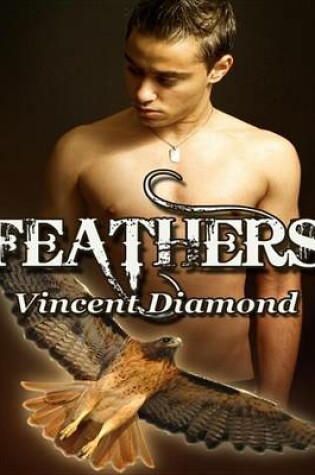Cover of Feathers