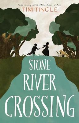 Book cover for Stone River Crossing