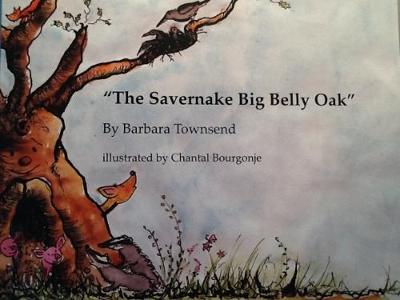 Book cover for The Savernake Big Belly Oak