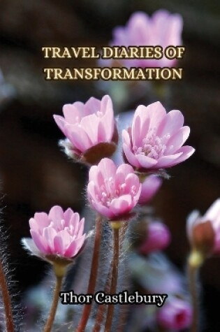 Cover of Travel Diaries of Transformation