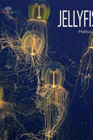 Cover of Jellyfish