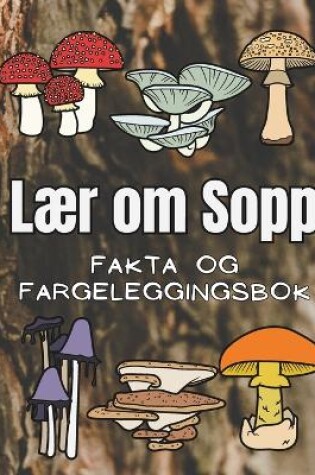 Cover of Lær om Sopp