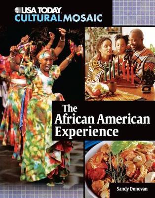 Book cover for The African American Experience
