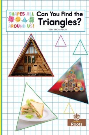 Cover of Can You Find the Triangles?