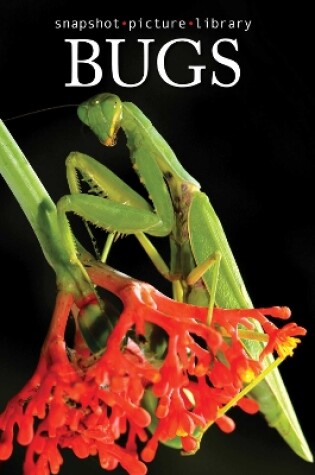 Cover of Bugs