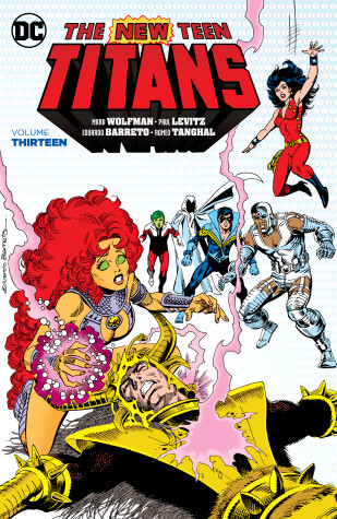 Book cover for New Teen Titans Vol. 13