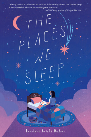 Book cover for The Places We Sleep