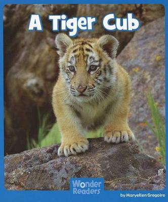 Book cover for A Tiger Cub