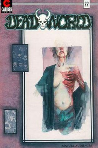 Cover of Deadworld #22