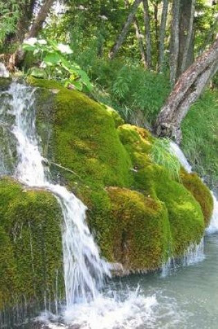 Cover of A Moss Covered Waterfall in Washington State