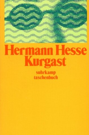 Cover of Der Kurgast
