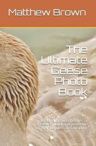 Cover of The Ultimate Geese Photo Book