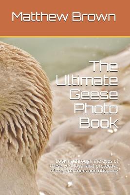 Book cover for The Ultimate Geese Photo Book
