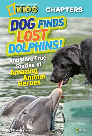 Book cover for Dog Finds Lost Dolphins!