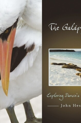 Cover of The Galapagos