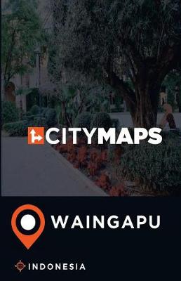 Book cover for City Maps Waingapu Indonesia