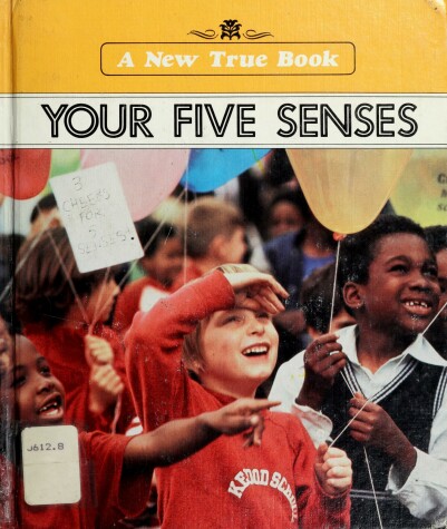 Book cover for Your Five Senses