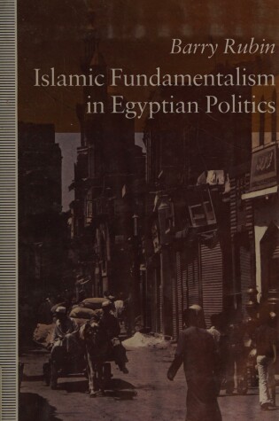 Cover of Islamic Fundamentalism in Egyptian Politics