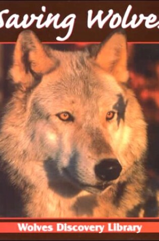 Cover of Saving Wolves