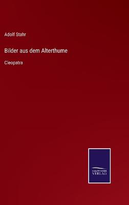 Book cover for Bilder aus dem Alterthume