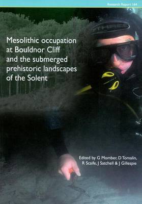 Book cover for Mesolithic Occupation at Bouldnor Cliff and the Submerged Prehistoric Landscapes of the Solent